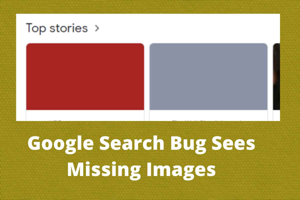 Google-Search-Bug-Sees-Missing-Images