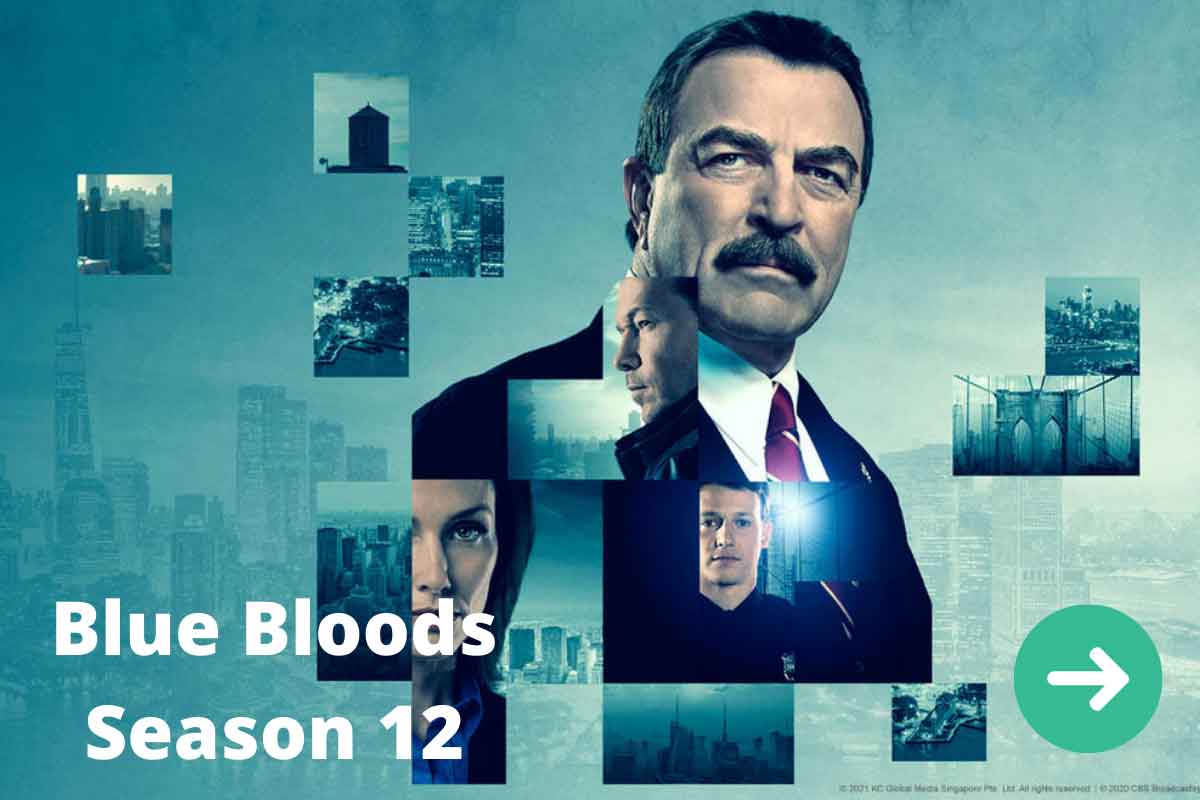 Blue Bloods Season 12