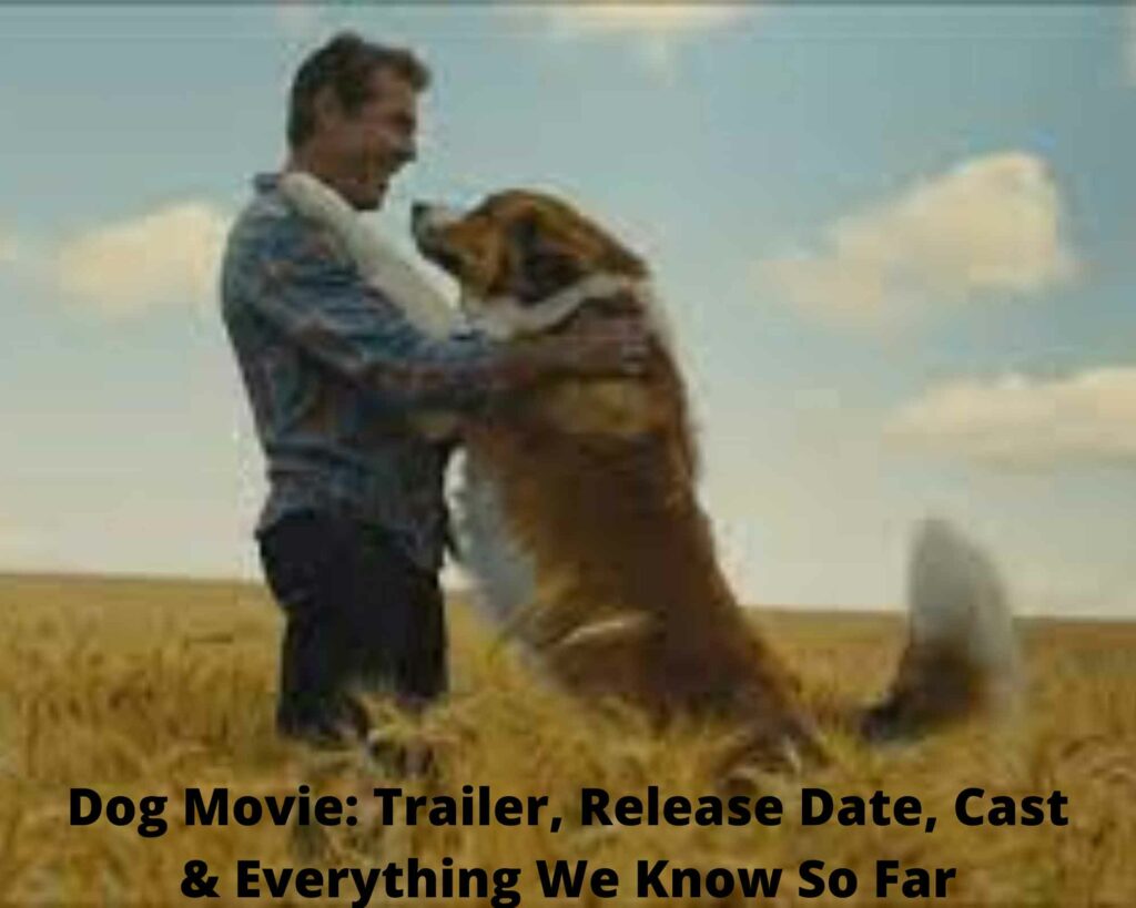 Dog Movie Trailer, Release Date Status, Cast & Everything We Know So