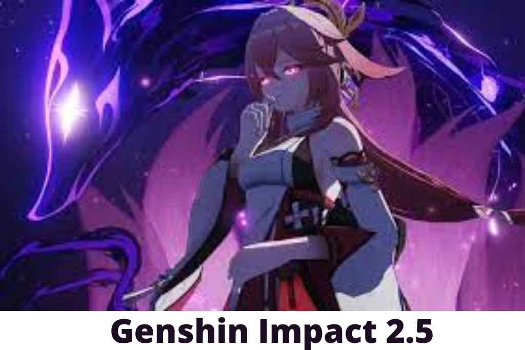 Genshin Impact 2.5