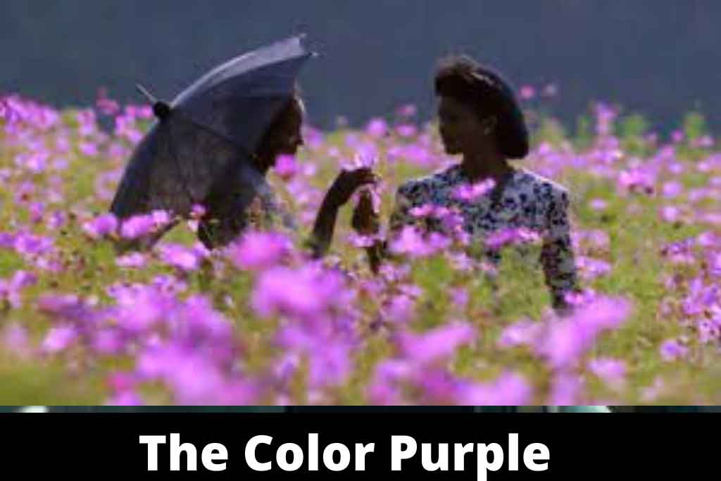 The Color Purple