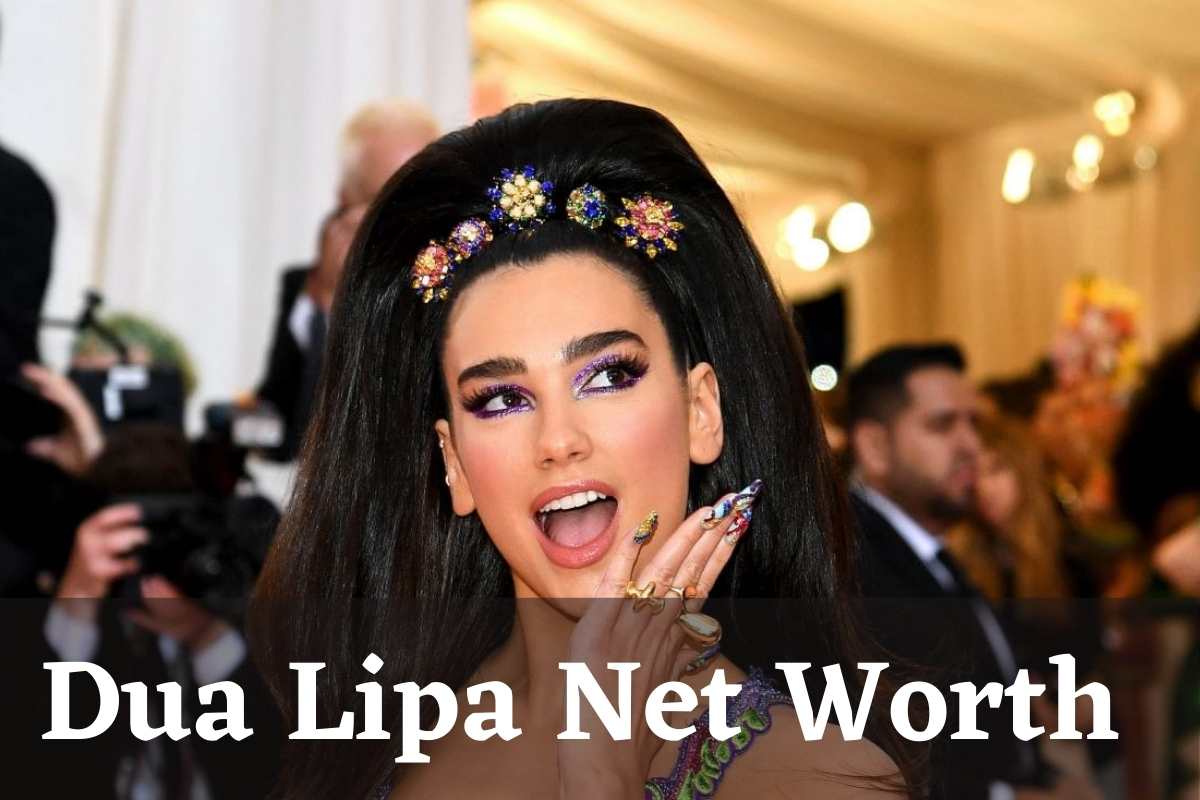 Dua Lipa Net Worth And More Facts About Her Green Energy Analysis