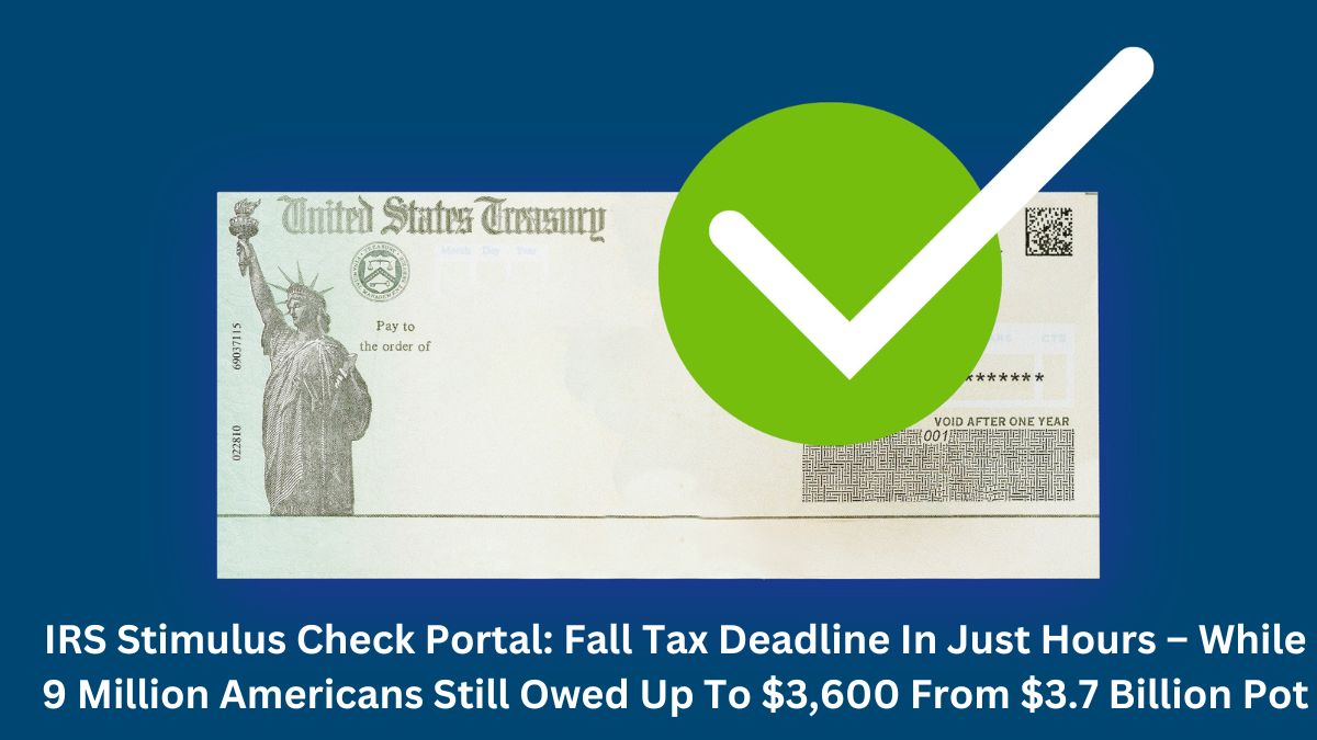 IRS Stimulus Check Portal