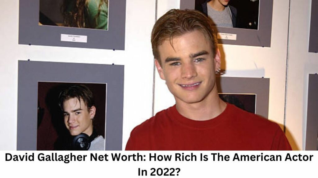 David Gallagher Net Worth