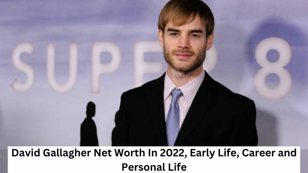 David Gallagher Net Worth