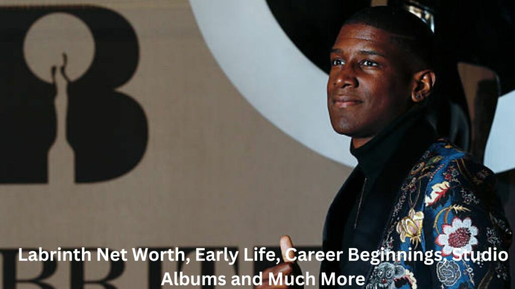 Labrinth Net Worth