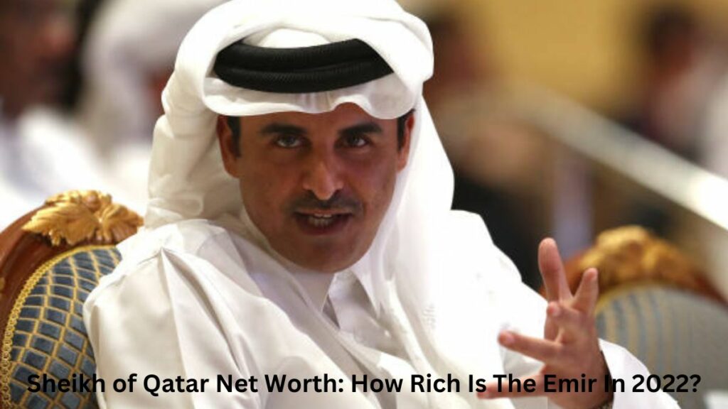 Sheikh of Qatar Net Worth