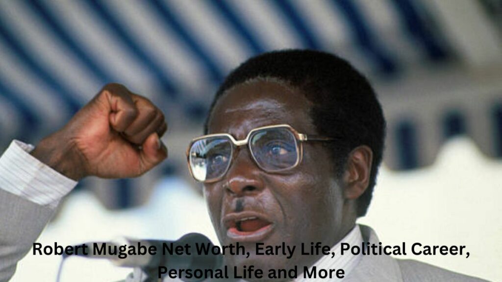 robert mugabe net worth