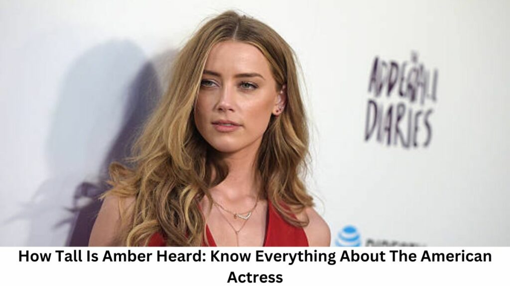 How Tall Is Amber Heard