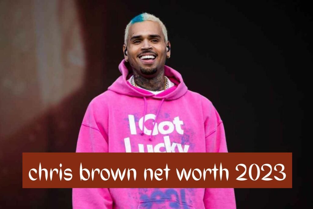 Chris Brown Net Worth 2023