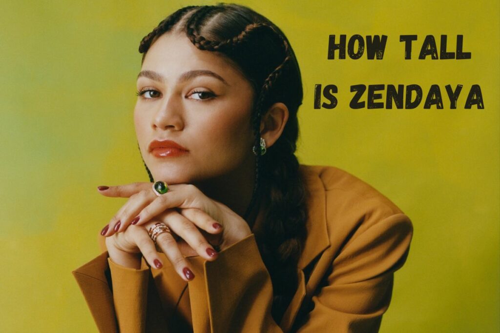 How Tall Is Zendaya