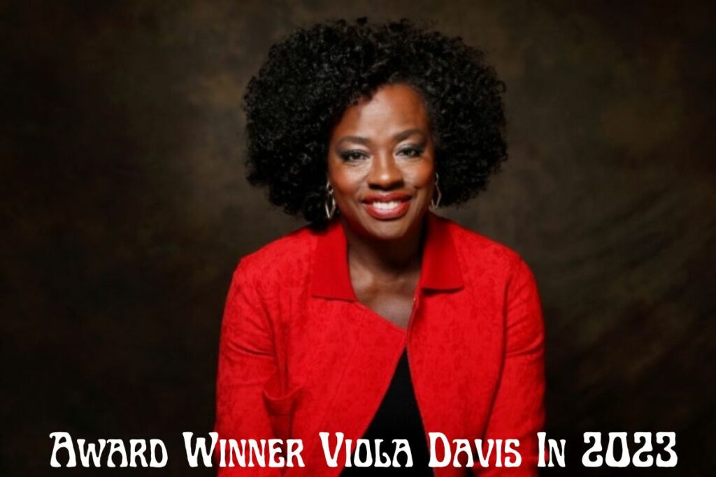 Award Winner Viola Davis In 2023