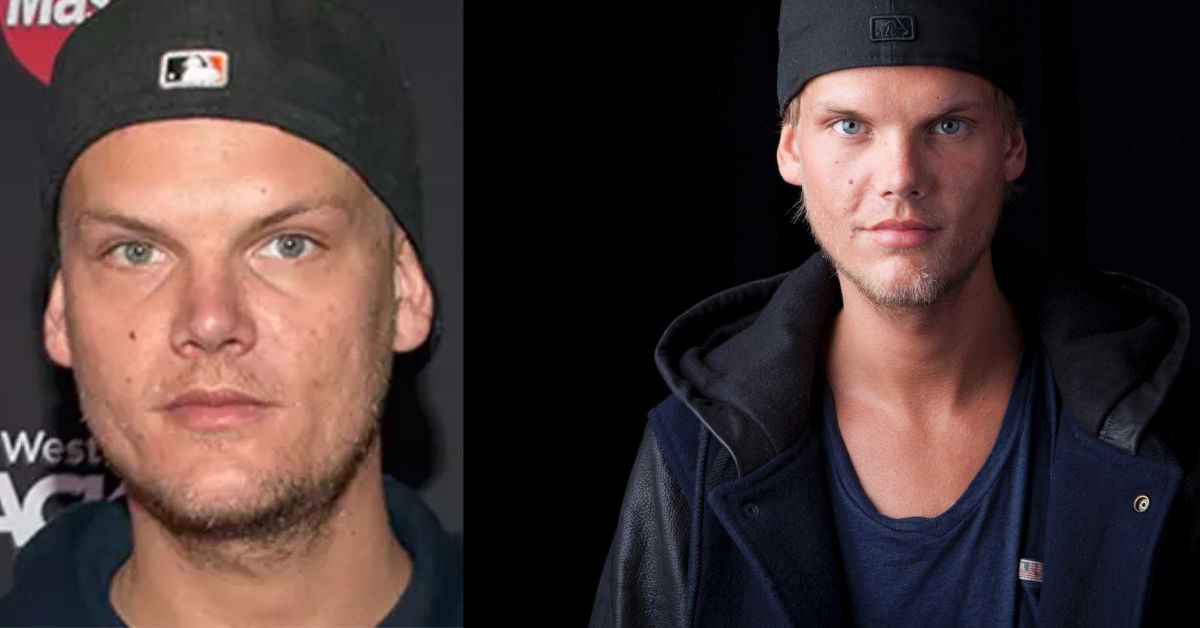 Avicii's Last Remarks